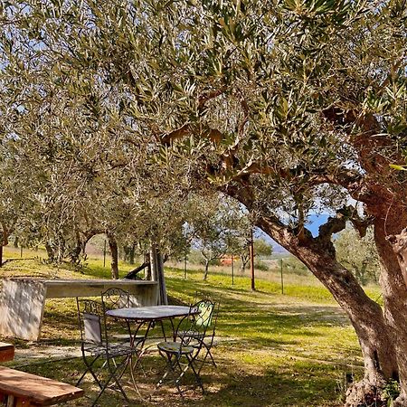 Villa Oasi Macerina Alanno Exterior foto