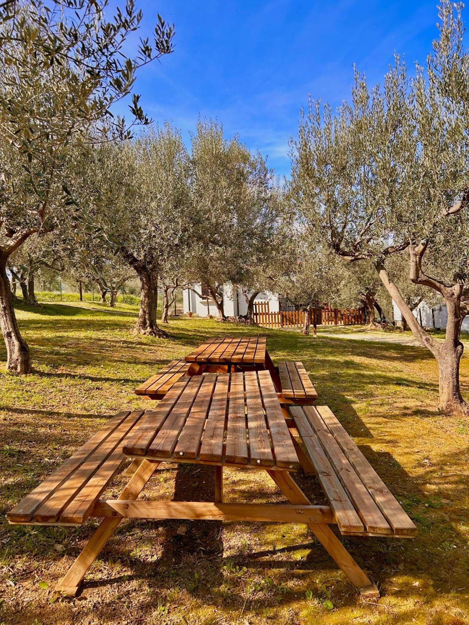 Villa Oasi Macerina Alanno Exterior foto