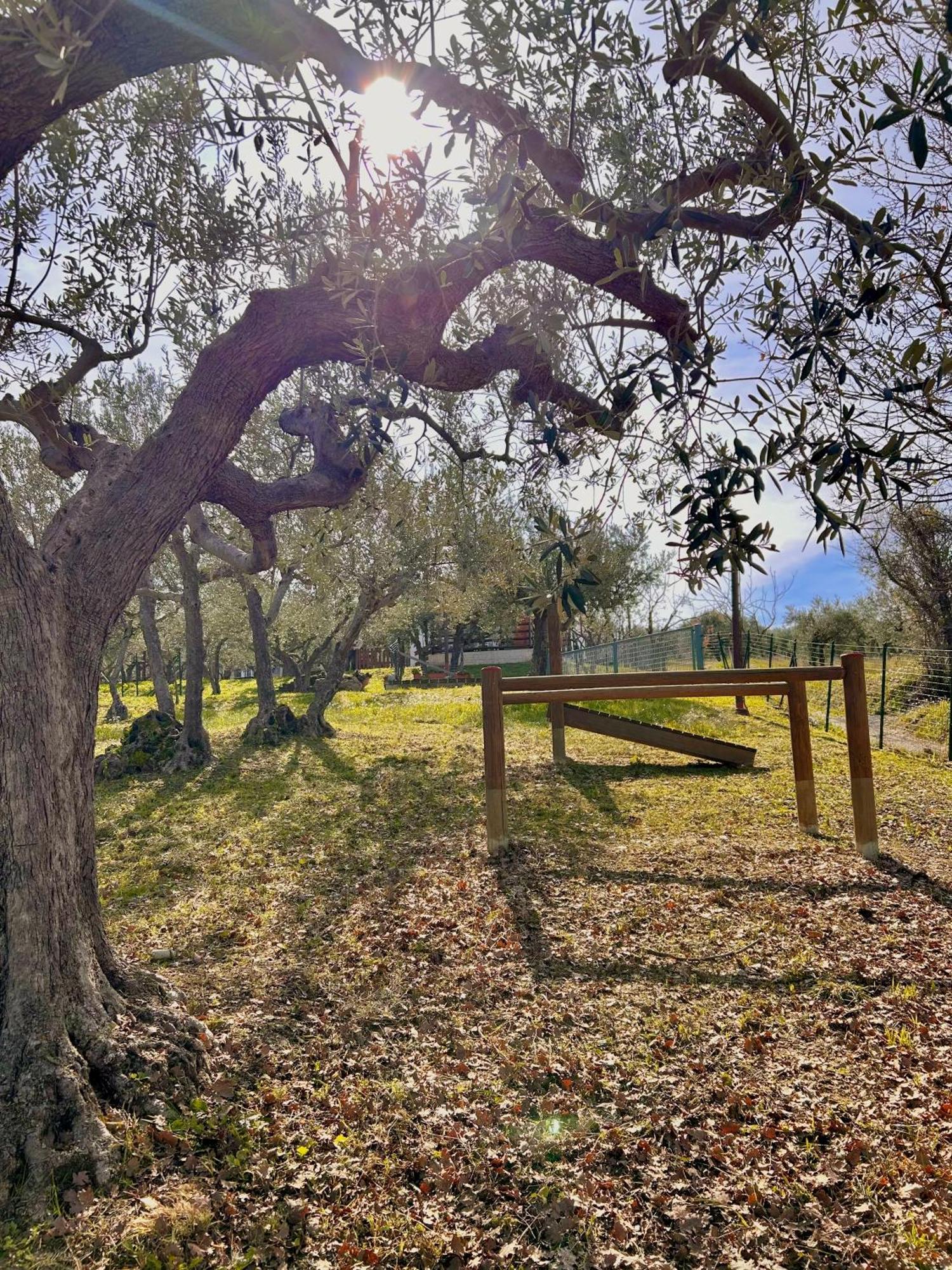 Villa Oasi Macerina Alanno Exterior foto